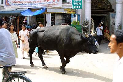 Kairen's_Tibet_13_2001-09-23 08.38.13 IMG_4433.JPG